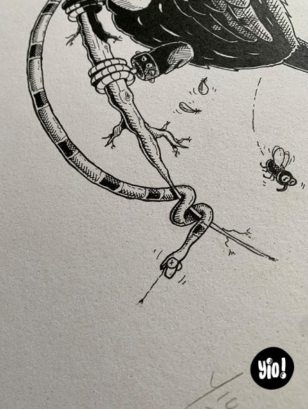 dessin original toucan - dessin toucan encre de Chine - original toucan papier de créa - dessiné en France