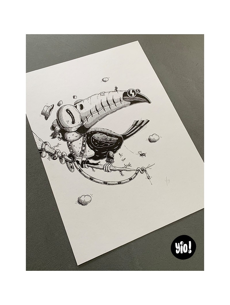 dessin original toucan - dessin toucan encre de Chine - original toucan papier de créa - dessiné en France