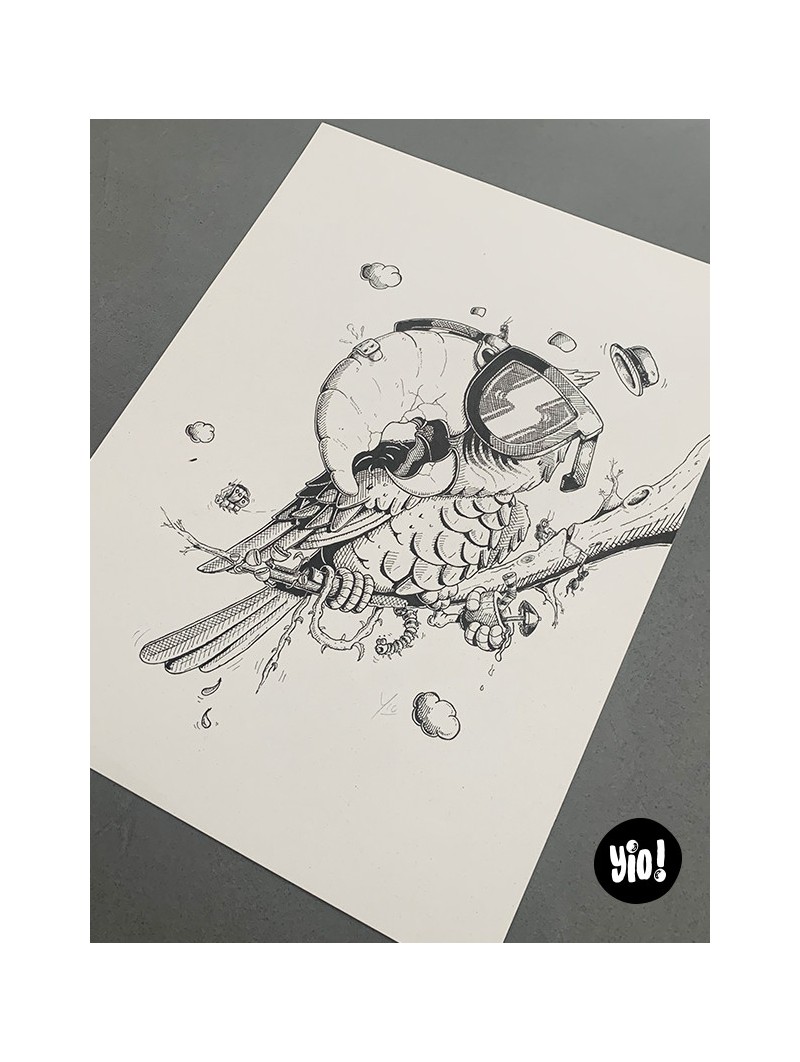 dessin original perroquet ara - dessin perroquet encre de Chine - original ara papier de créa - dessiné en France