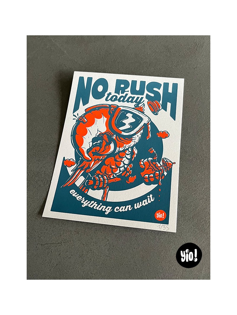 Sérigraphie artisanale perroquet ara 2 couleurs aplats No Rush Today Atelier Yio