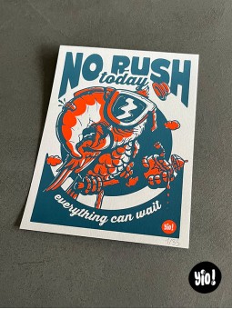 Sérigraphie artisanale perroquet ara 2 couleurs aplats No Rush Today Atelier Yio